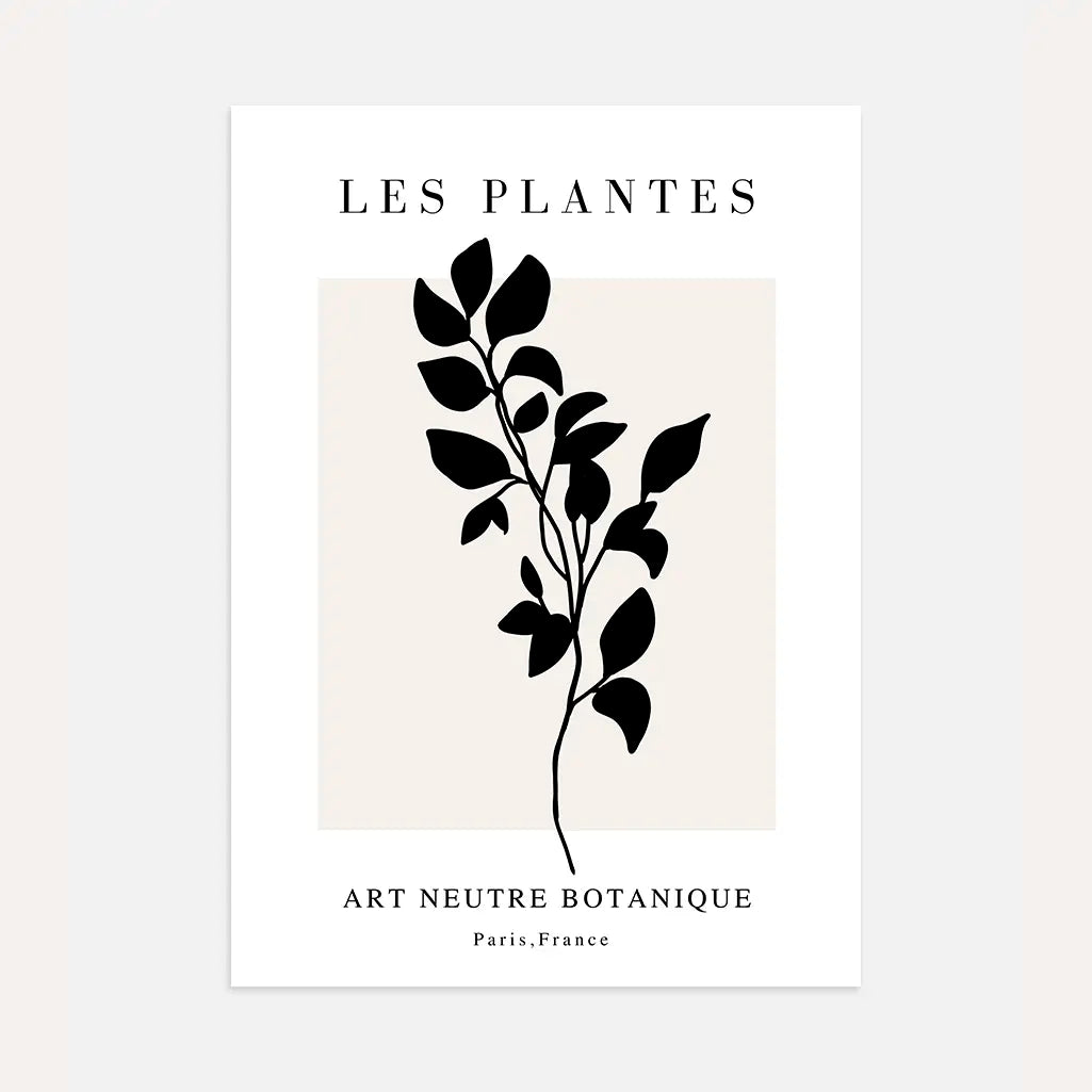 Noir Élancé Botanical Poster