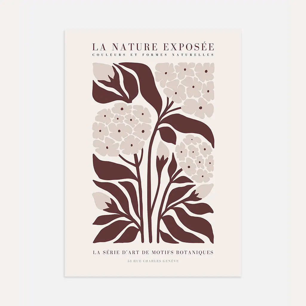 Brown Botanical Flowers Poster