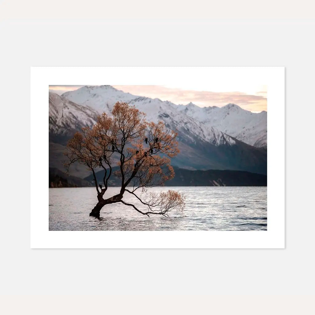 Tree in the Lake Poster