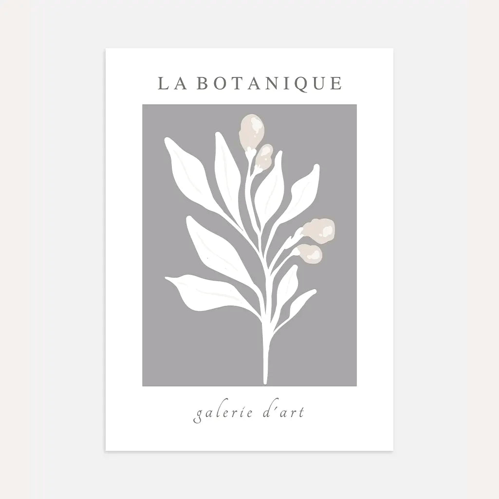 Graphite Botanique Plant Poster