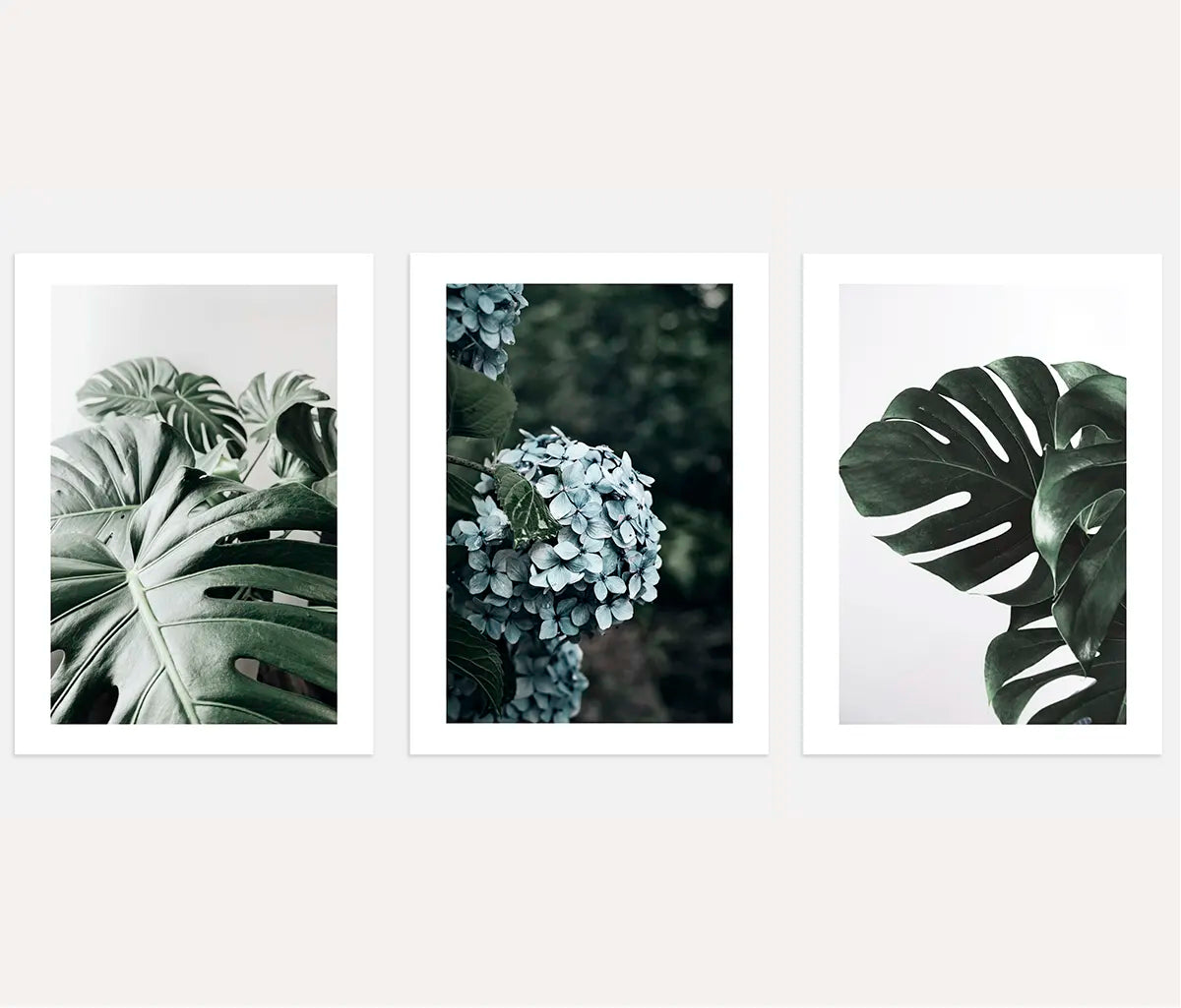 Green Botanical Prints – Set of 3
