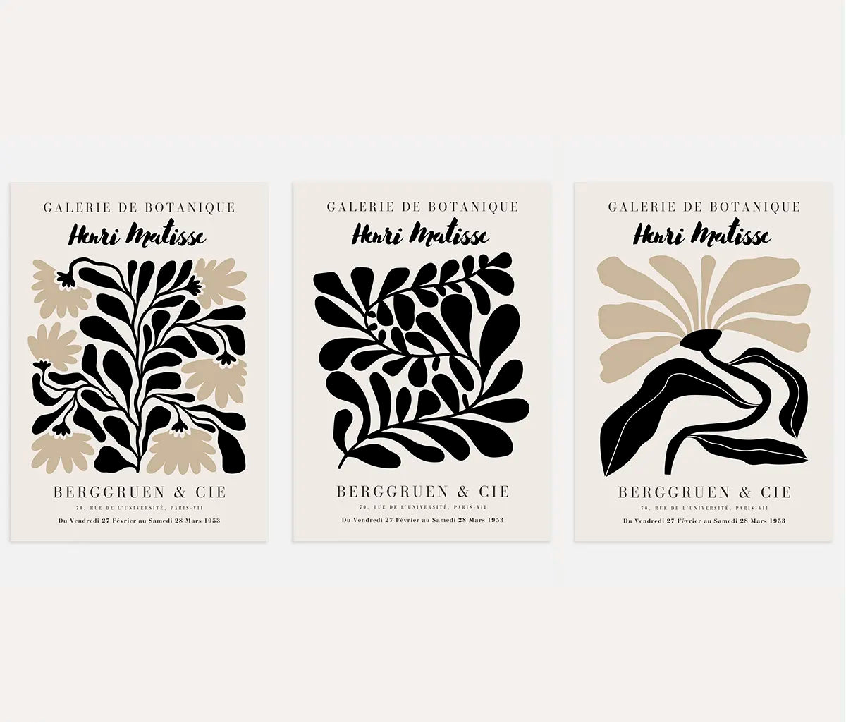 Henri Matisse Botanical Rhythm Set of 3 Posters
