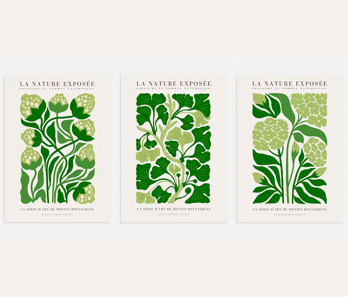 La Nature Exposée Botanical Prints – Green Botanical Set of 3