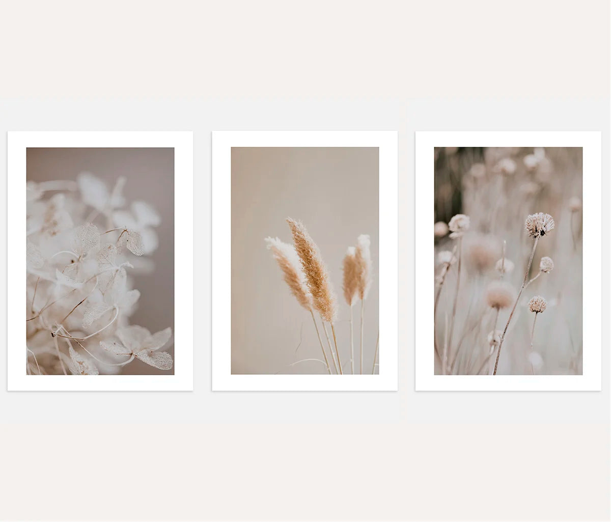 Neutral Botanical Prints – Minimal Nature Set of 3