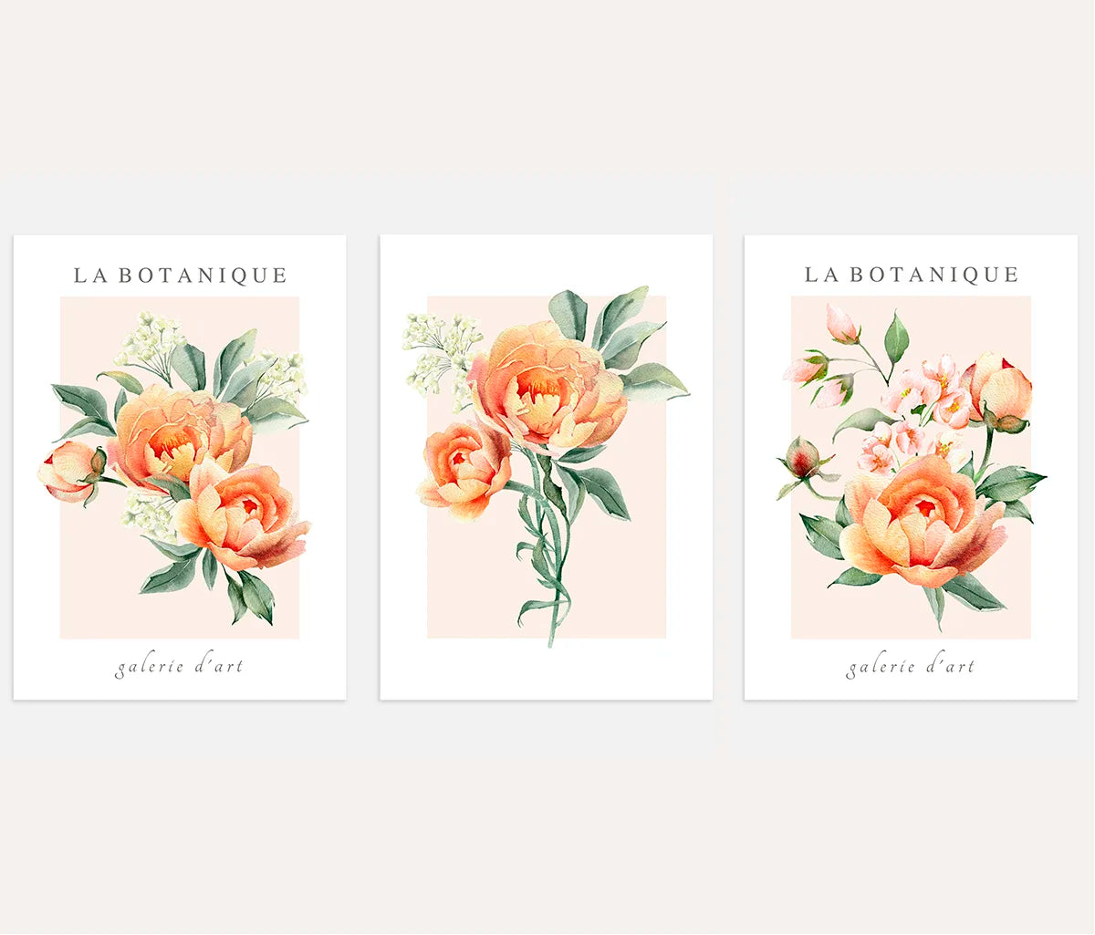 Peach Floral Watercolor Prints – Botanical Set of 3