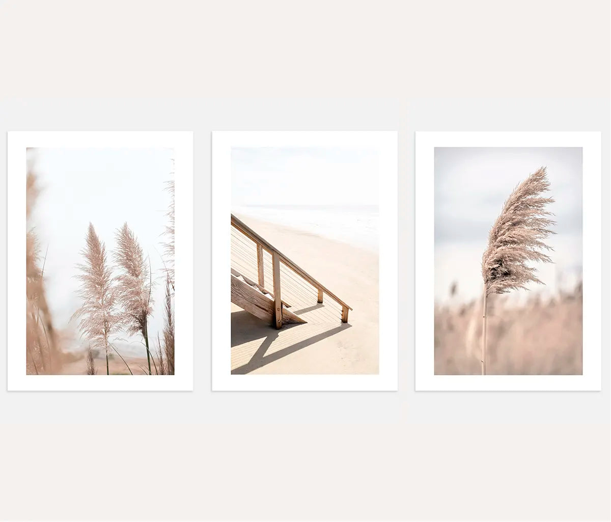 Coastal path with pampas grass poster set of 3 in beige minimal wall art
