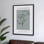  fleurs contours poster gallery wall minimalist botanical decor