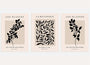 black beige neutral botanical poster set wall art for living room decor
