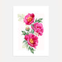 pink peonies watercolour poster realistic floral wall art
